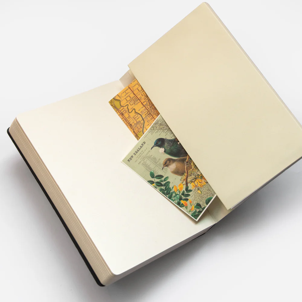 Elastic Sketchbook - Image 4