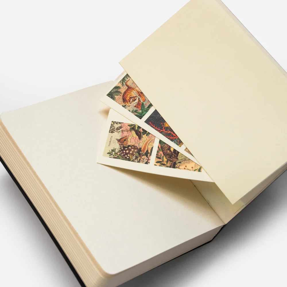 Elastic Sketchbook - Image 8